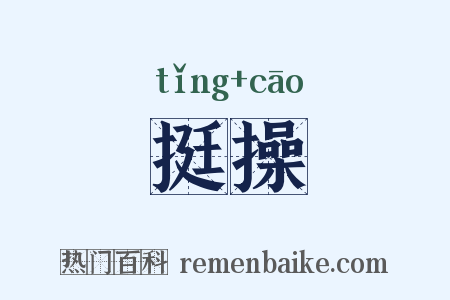 挺操是什么意思的图片